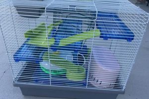Best Teddy Bear Hamster Cages: Guide & Reviews Teddy Information – Everything You Need to Know About Teddy Bears Best Teddy Bear Hamster Cages: Guide & Reviews | Teddy Information – Everything You Need to Know About Teddy Bears