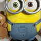 Adorable Minion Bob & His Teddy Bear Adventures | Teddy Information – Everything You Need to Know About Teddy Bears