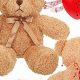 Custom Teddy Bear Recording: Voice Messages & More | Teddy Information – Everything You Need to Know About Teddy Bears