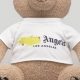 Cute Palm Angels Teddy Bear Plush Toy | Teddy Information – Everything You Need to Know About Teddy Bears