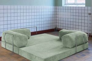 Cozy Sofa Teddy Bears: Plush Comfort Teddy Information – Everything You Need to Know About Teddy Bears Cozy Sofa Teddy Bears: Plush Comfort | Teddy Information – Everything You Need to Know About Teddy Bears