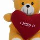 I Miss U Teddy Bear: Comforting Kids | Teddy Information – Everything You Need to Know About Teddy Bears