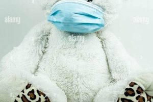 Cute Masked Teddy Bears for Sale | Plush Toys Teddy Information – Everything You Need to Know About Teddy Bears Cute Masked Teddy Bears for Sale | Plush Toys | Teddy Information – Everything You Need to Know About Teddy Bears