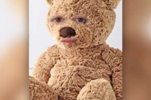 Cute Teddy Bear Snapchat Filters & Lenses Teddy Information – Everything You Need to Know About Teddy Bears Cute Teddy Bear Snapchat Filters & Lenses | Teddy Information – Everything You Need to Know About Teddy Bears
