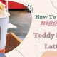 Cuddly Biggby Teddy Bear Plush Toys & Gifts | Teddy Information – Everything You Need to Know About Teddy Bears