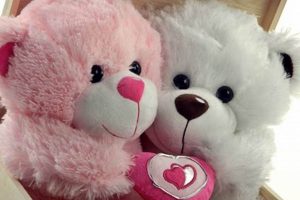 Cute Love Teddy Pictures & Images: Gallery Teddy Information – Everything You Need to Know About Teddy Bears Cute Love Teddy Pictures & Images: Gallery | Teddy Information – Everything You Need to Know About Teddy Bears