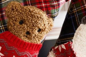 Plaid Teddy Teddy Information – Everything You Need to Know About Teddy Bears Plaid Teddy | Teddy Information – Everything You Need to Know About Teddy Bears