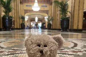 Experience the Roosevelt New Orleans Teddy Bear Tea Magic Teddy Information – Everything You Need to Know About Teddy Bears Experience the Roosevelt New Orleans Teddy Bear Tea Magic | Teddy Information – Everything You Need to Know About Teddy Bears
