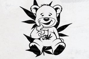 The Ultimate Guide to Teddy Bear Weed Galls Teddy Information – Everything You Need to Know About Teddy Bears The Ultimate Guide to Teddy Bear Weed Galls | Teddy Information – Everything You Need to Know About Teddy Bears