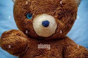 My One-Eyed Teddy Bear's Adventures Teddy Information – Everything You Need to Know About Teddy Bears My One-Eyed Teddy Bear's Adventures | Teddy Information – Everything You Need to Know About Teddy Bears