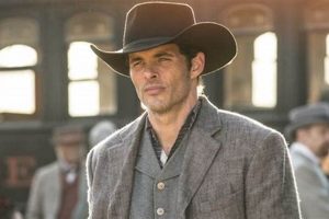Westworld's Teddy: A Host's Journey Teddy Information – Everything You Need to Know About Teddy Bears Westworld's Teddy: A Host's Journey | Teddy Information – Everything You Need to Know About Teddy Bears