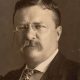 Historic Teddy Roosevelt Autograph & Signature Guide | Teddy Information – Everything You Need to Know About Teddy Bears
