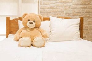 Cuddly Teddy Bears on Beds: Sweet Dreams Teddy Information – Everything You Need to Know About Teddy Bears Cuddly Teddy Bears on Beds: Sweet Dreams | Teddy Information – Everything You Need to Know About Teddy Bears