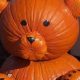 Cute Teddy Bear Pumpkin Carving Ideas | Teddy Information – Everything You Need to Know About Teddy Bears