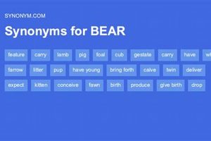 Best Teddy Bear Synonyms: Plushie, Soft Toy & More Teddy Information – Everything You Need to Know About Teddy Bears Best Teddy Bear Synonyms: Plushie, Soft Toy & More | Teddy Information – Everything You Need to Know About Teddy Bears