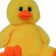 Cuddly Teddy Bear Ducks & Plush Toys | Teddy Information – Everything You Need to Know About Teddy Bears