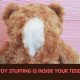 Best Teddy Bear Stuffing: Guide &amp; FAQs | Teddy Information – Everything You Need to Know About Teddy Bears