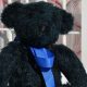 Cuddly Dark Blue Teddy Bears for Comfort | Teddy Information – Everything You Need to Know About Teddy Bears