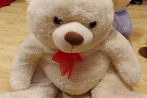 Large White Teddy Bear Teddy Information – Everything You Need to Know About Teddy Bears Large White Teddy Bear | Teddy Information – Everything You Need to Know About Teddy Bears