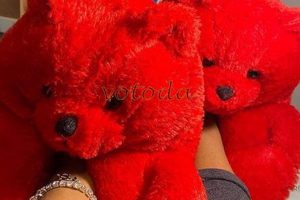 Cozy Red Teddy Bear Slippers for Adults Teddy Information – Everything You Need to Know About Teddy Bears Cozy Red Teddy Bear Slippers for Adults | Teddy Information – Everything You Need to Know About Teddy Bears