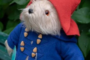 Original Paddington Bear: Classic Teddy Guide Teddy Information – Everything You Need to Know About Teddy Bears Original Paddington Bear: Classic Teddy Guide | Teddy Information – Everything You Need to Know About Teddy Bears