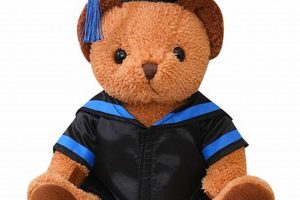 Cute Walmart Graduation Teddy Bears: Class of 2024 Teddy Information – Everything You Need to Know About Teddy Bears Cute Walmart Graduation Teddy Bears: Class of 2024 | Teddy Information – Everything You Need to Know About Teddy Bears