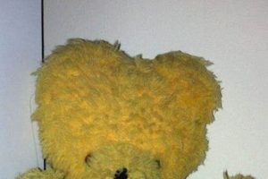 Vintage 1970s Teddy Bears: A Collector's Guide Teddy Information – Everything You Need to Know About Teddy Bears Vintage 1970s Teddy Bears: A Collector's Guide | Teddy Information – Everything You Need to Know About Teddy Bears