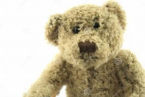 Best Teddy Stock: Shop Cute & Cuddly Plushies Teddy Information – Everything You Need to Know About Teddy Bears Best Teddy Stock: Shop Cute & Cuddly Plushies | Teddy Information – Everything You Need to Know About Teddy Bears