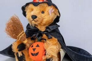 Cuddly Witch Teddy Bears: Magical Plush Toys Teddy Information – Everything You Need to Know About Teddy Bears Cuddly Witch Teddy Bears: Magical Plush Toys | Teddy Information – Everything You Need to Know About Teddy Bears