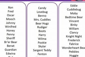 Cuddly Personalized Teddy Bears with Name Embroidered Teddy Information – Everything You Need to Know About Teddy Bears Cuddly Personalized Teddy Bears with Name Embroidered | Teddy Information – Everything You Need to Know About Teddy Bears