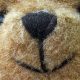 Adorable Teddy Bear Face Traits: A Guide | Teddy Information – Everything You Need to Know About Teddy Bears