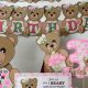 Adorable Teddy Bear Birthday Party Supplies | Teddy Information – Everything You Need to Know About Teddy Bears