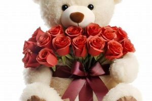 Perfect Rose & Teddy Bear Gifts | Delivery Teddy Information – Everything You Need to Know About Teddy Bears Perfect Rose & Teddy Bear Gifts | Delivery | Teddy Information – Everything You Need to Know About Teddy Bears