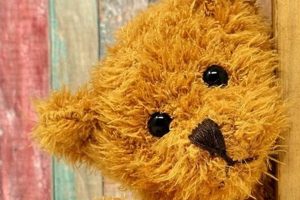 Cute Teddy Bear Quotations & Sayings Teddy Information – Everything You Need to Know About Teddy Bears Cute Teddy Bear Quotations & Sayings | Teddy Information – Everything You Need to Know About Teddy Bears