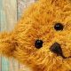 Cute Teddy Bear Quotations & Sayings | Teddy Information – Everything You Need to Know About Teddy Bears