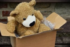 Cute Teddy Bears in a Box: Gifts & More Teddy Information – Everything You Need to Know About Teddy Bears Cute Teddy Bears in a Box: Gifts & More | Teddy Information – Everything You Need to Know About Teddy Bears
