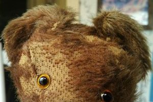 Antique Knickerbocker Teddy Bears: A Collector's Guide Teddy Information – Everything You Need to Know About Teddy Bears Antique Knickerbocker Teddy Bears: A Collector's Guide | Teddy Information – Everything You Need to Know About Teddy Bears