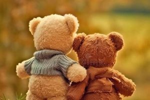 The Best Teddy Bears: Top Plush Picks Teddy Information – Everything You Need to Know About Teddy Bears The Best Teddy Bears: Top Plush Picks | Teddy Information – Everything You Need to Know About Teddy Bears