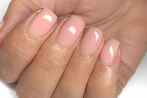 Fluffy Biab Teddy Nails: The Ultimate Guide Teddy Information – Everything You Need to Know About Teddy Bears Fluffy Biab Teddy Nails: The Ultimate Guide | Teddy Information – Everything You Need to Know About Teddy Bears