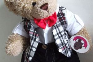 Adorable Teddy Bear Clothes & Outfits Teddy Information – Everything You Need to Know About Teddy Bears Adorable Teddy Bear Clothes & Outfits | Teddy Information – Everything You Need to Know About Teddy Bears