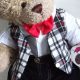 Adorable Teddy Bear Clothes & Outfits | Teddy Information – Everything You Need to Know About Teddy Bears