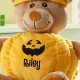 Cute Teddy Bear Jack O'Lanterns for Halloween | Teddy Information – Everything You Need to Know About Teddy Bears