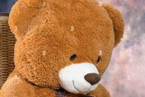 The Joy of Sitting on Teddy Bears: A Childhood Delight Teddy Information – Everything You Need to Know About Teddy Bears The Joy of Sitting on Teddy Bears: A Childhood Delight | Teddy Information – Everything You Need to Know About Teddy Bears