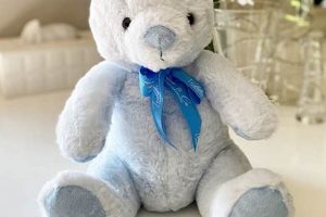 Memory Teddy Bears: Comforting Keepsakes for Ashes Teddy Information – Everything You Need to Know About Teddy Bears Memory Teddy Bears: Comforting Keepsakes for Ashes | Teddy Information – Everything You Need to Know About Teddy Bears
