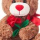 Red Teddy Bears Valentines Day | Teddy Information – Everything You Need to Know About Teddy Bears