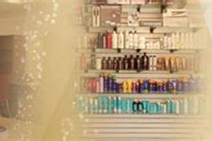 Teddy Rose Hair Salon: Chic Styles & Cuts Teddy Information – Everything You Need to Know About Teddy Bears Teddy Rose Hair Salon: Chic Styles & Cuts | Teddy Information – Everything You Need to Know About Teddy Bears