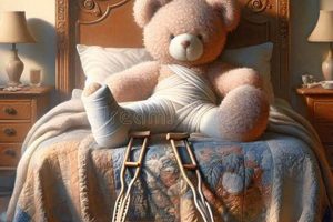 Cuddly Teddy Casts for Kids: Comfort & Healing Teddy Information – Everything You Need to Know About Teddy Bears Cuddly Teddy Casts for Kids: Comfort & Healing | Teddy Information – Everything You Need to Know About Teddy Bears