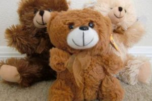 Cuddly Teddy Bears at Dollar Tree: Deals Inside! Teddy Information – Everything You Need to Know About Teddy Bears Cuddly Teddy Bears at Dollar Tree: Deals Inside! | Teddy Information – Everything You Need to Know About Teddy Bears