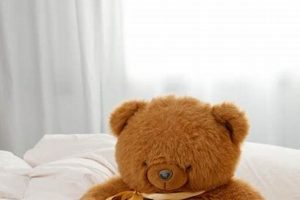 Cuddly Ginger Teddy Bears: Shop Our Collection Teddy Information – Everything You Need to Know About Teddy Bears Cuddly Ginger Teddy Bears: Shop Our Collection | Teddy Information – Everything You Need to Know About Teddy Bears