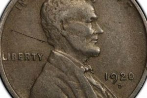 Historic Teddy Roosevelt Panama Penny Guide Teddy Information – Everything You Need to Know About Teddy Bears Historic Teddy Roosevelt Panama Penny Guide | Teddy Information – Everything You Need to Know About Teddy Bears